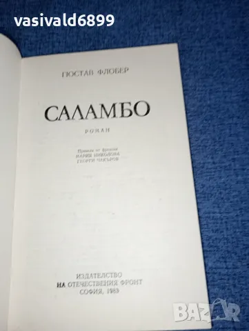 Гюстав Флобер - Саламбо , снимка 4 - Художествена литература - 47165535