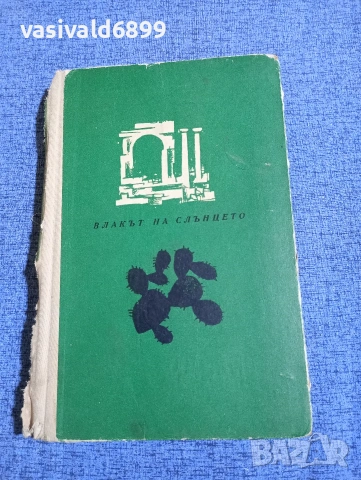 Рене Реджани - Влакът на слънцето 