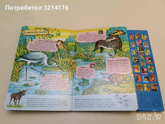 Разходка в гората - книга със звуци - Магдалена Стоянова (Фют, Лукс. издание, Отл. състояние), снимка 4 - Детски книжки - 53736281