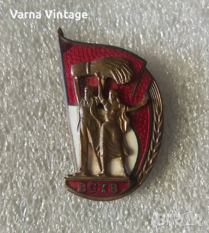 Знак за участник на ВСХВ. бронз, емайл. 50-60-те години., снимка 1 - Колекции - 46310467