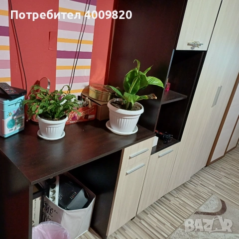 Обзавеждане за детска стая , снимка 6 - Спални и легла - 53451018