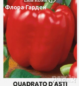 СЕМЕНА - Зеленчуци, билки, снимка 2 - Сортови семена и луковици - 44792837