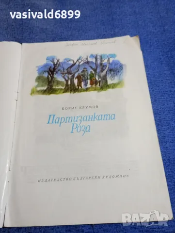 Борис Крумов - Партизанката Роза , снимка 4 - Българска литература - 48466421