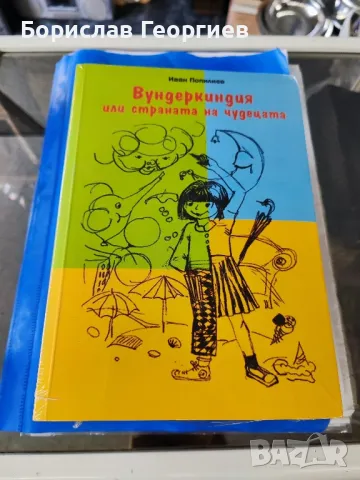 Вундеркиндия или страната на чудецата

Иван Попилиев

, снимка 1 - Детски книжки - 47140157