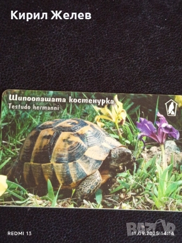 Три фонокарти МОБИКА тема ЖИВОТНИ ЛЕШОЯД, КОСТЕНУРКА, ПРИЛЕП 26915, снимка 5 - Колекции - 51678714