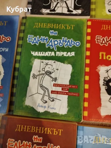 дневникът на един Дръндьо , снимка 7 - Детски книжки - 48577648