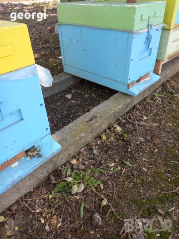 пчелни отводки ЛР, снимка 3 - За пчели - 45470256
