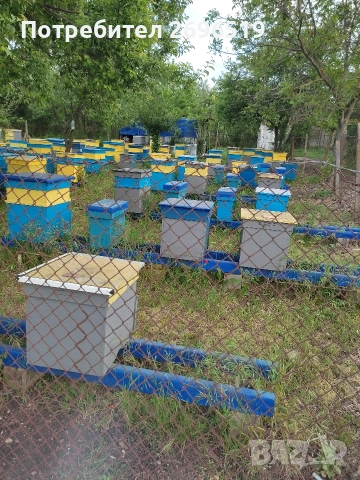 продавам пчелин и ивентар, снимка 2 - За пчели - 53222072