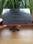 Палитра сенки за очи Fetish 24 цвята, снимка 5