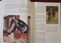 Конете и конните спортове / The Horse and Equestrian Sport, снимка 4
