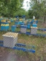 продавам пчелин и ивентар, снимка 2