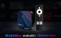 TV box HAKO Pro, 2/16Gb, Android TV 11, Dual WIFI, NETFLIX and Google Certificated, снимка 7