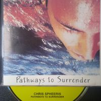 Chris Spheeris – Pathways To Surrender - матричен диск музика, снимка 1 - CD дискове - 45785939