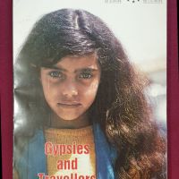 Циганите - социално-културен и социално-политически доклад / Gypsies and Travellers, снимка 1 - Специализирана литература - 45667801