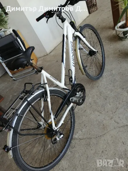 велосипеди Винора Доминго ,Симплон дамски рамки, снимка 1