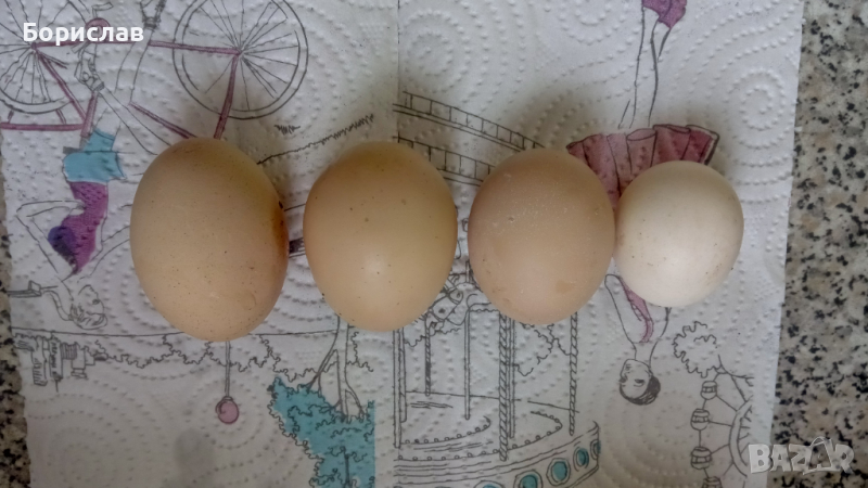Домашни яйца в град Ямбол , снимка 1