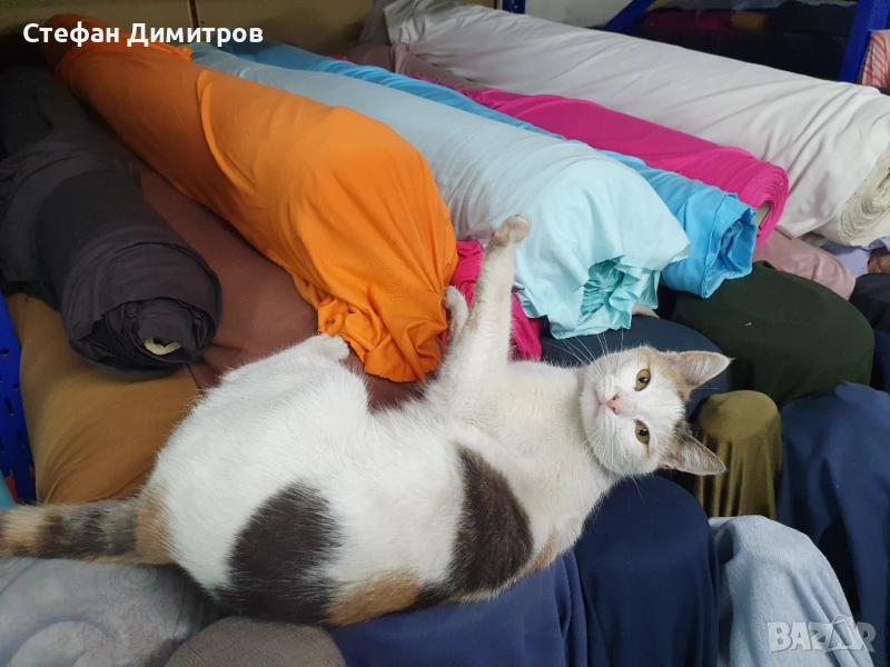 Вискоза с ликра, снимка 1