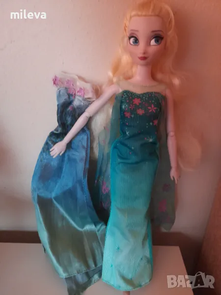 Елза, снимка 1