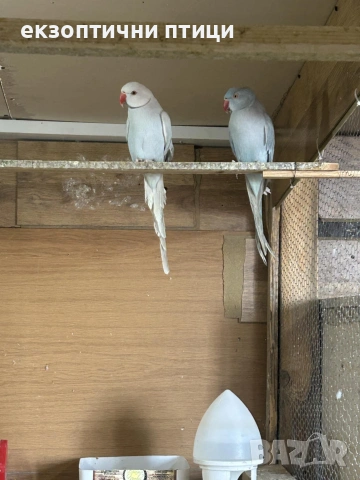 Продавам или Бартер 