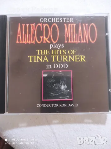 CD -Orchester Hits of Tina Turner, снимка 3 - CD дискове - 48408554