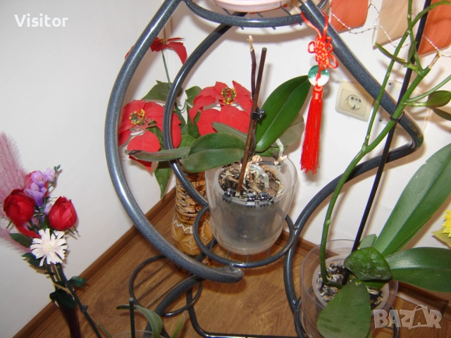 SONY DSC - S80, снимка 9 - Фотоапарати - 54135688