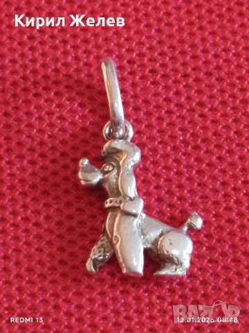 Сребърен медальон във формата на куче ПУДЕЛ талисман за подарък 52676, снимка 5 - Колиета, медальони, синджири - 53069051