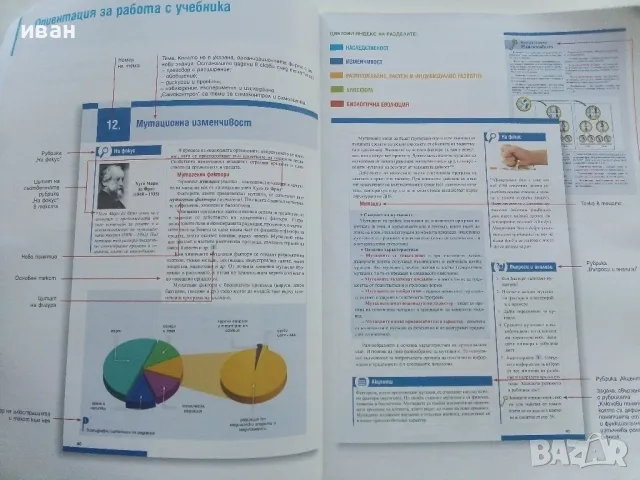 Биология и здравно образование 10 клас. - Н.Цанова,С.Томова - 2019г., снимка 5 - Учебници, учебни тетрадки - 49037321