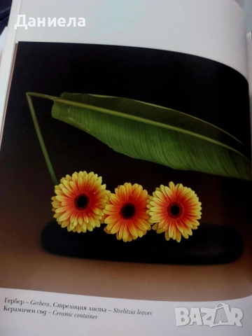 Икебана- Рима Мирска, снимка 8 - Други - 51509923