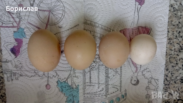 Домашни яйца в град Ямбол , снимка 1 - Домашни продукти - 45073818