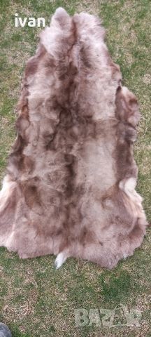естествена кожа от северен елен , снимка 1 - Други стоки за дома - 45358679