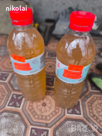 Ябълков оцет 