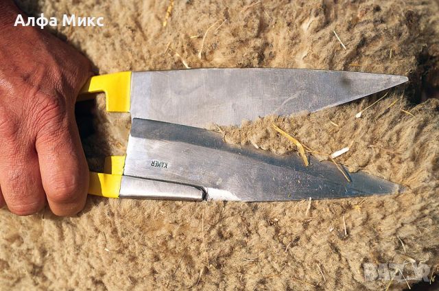 Ножица за стригане на овце 34 см, Арт.№: 100360, снимка 2 - За селскостопански - 46272311
