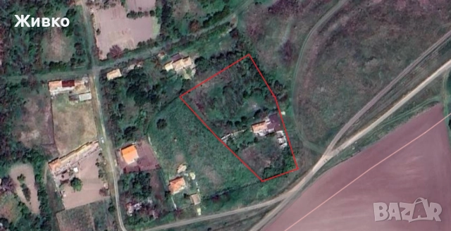 Голям имот в село Щипско, област Варна , снимка 7 - Къщи - 52637656