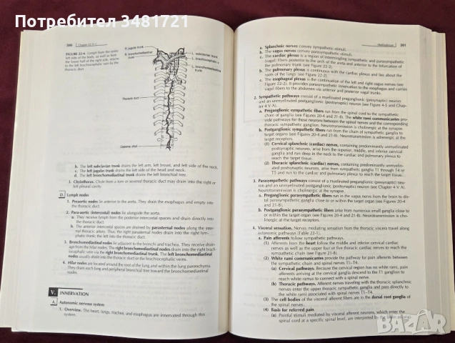 Clinical Anatomy 3rd edition, снимка 7 - Специализирана литература - 53519575