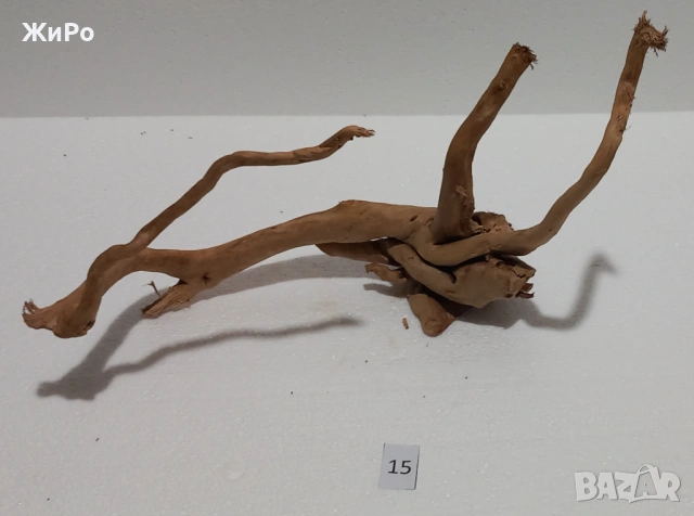 Корен от Азалия /декорация/ 15