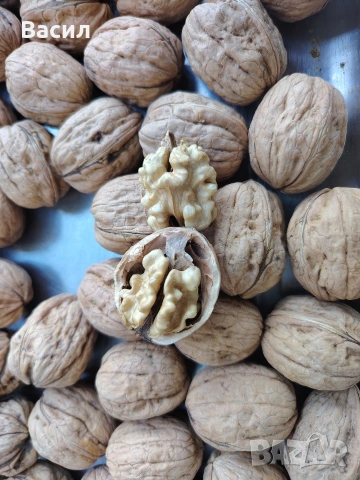 Орехи Чандлър , снимка 2 - Домашни продукти - 54244086