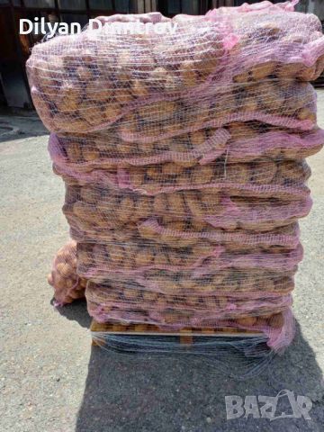 Промоция на Картофи за консумация 0.50лв/кг само на едро на пале, снимка 2 - Други - 45582352
