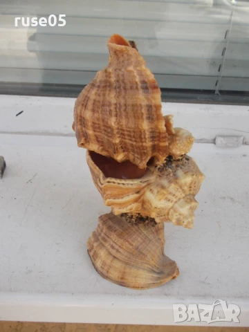 Фигура от морски дарове, снимка 4 - Други стоки за дома - 50553053