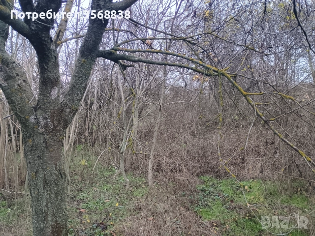 Вила ,със застроена площ 50 кв  м (има и гараж), , снимка 13 - Вили - 52789100