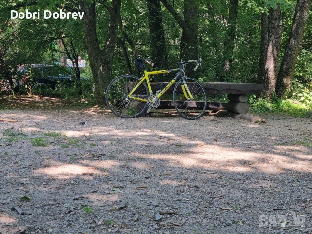 шосеен велосипед колело бегач giant once, снимка 10 - Велосипеди - 50366788