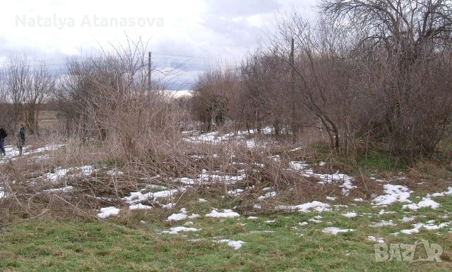 Къща за продажба в Сърнец, област Добрич, снимка 4 - Къщи - 53656508