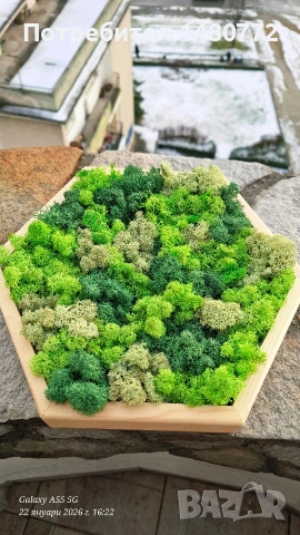 Пано шестоъгълник със скандинавски мъх , снимка 8 - Пана - 52117378