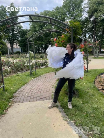 Светещи крила за танци, фотосесии и шоу программи , снимка 3 - Други - 50512484