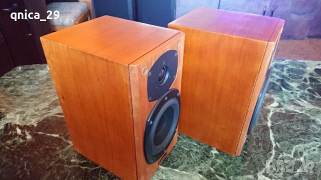 Tannoy Revolution r1, снимка 5 - Тонколони - 46586638