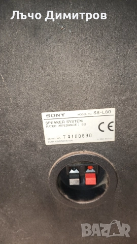 SONY RX80, снимка 9 - Тонколони - 52929406