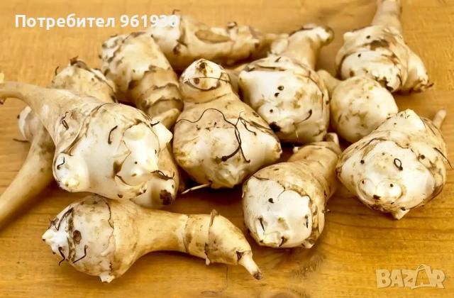 Продавам земна ябълка ( голия ) екологично чиста.