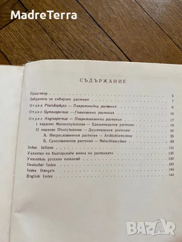 Високопланинските растения в България Н. Стоянов, Б. Китанов, снимка 2 - Енциклопедии, справочници - 46945924