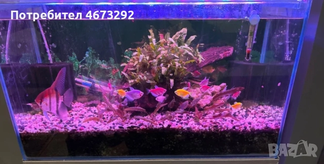 Аквариум - 84 литра ОБОРУДВАН
