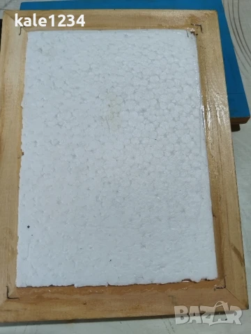 Пеперуди. Препарирани. Рамка. Естествени. Пеперуда , снимка 9 - Други - 50602532