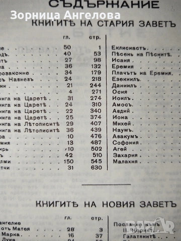 Рядко срещана протестантска Библия (Стар и Нов Завет), Стар правопис, снимка 4 - Колекции - 53332548